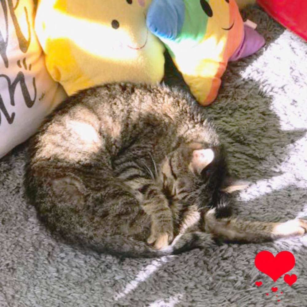 Meet your Posher, Cheri